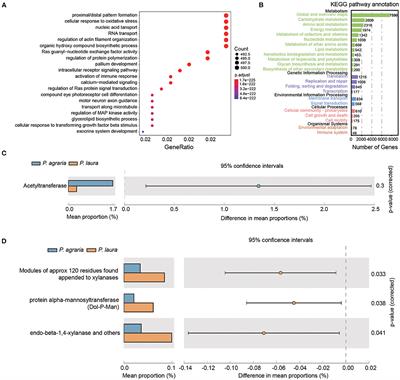 Corrigendum: Diversity and Function of Wolf Spider Gut Microbiota Revealed by Shotgun Metagenomics